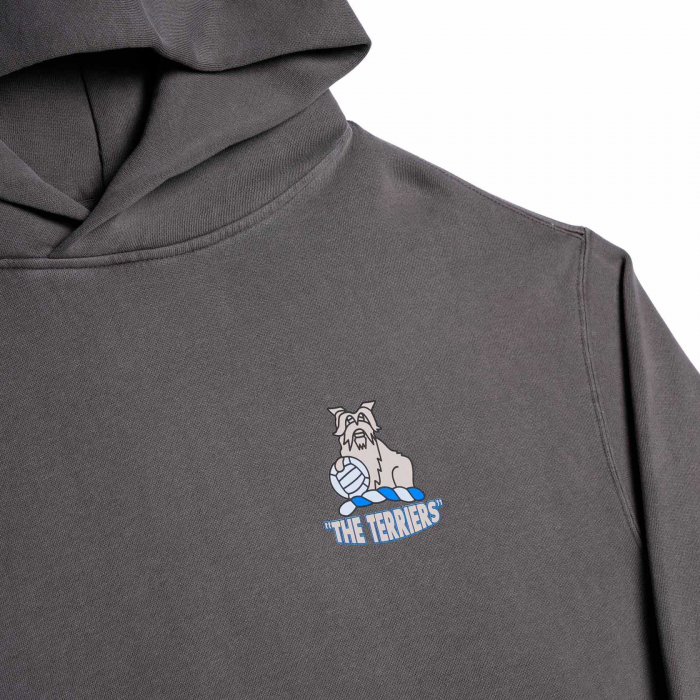 Terriers Adult Faded Grey Hoody