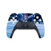 PS5 Controller Skin